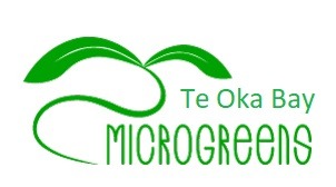 teokabay.co.nz